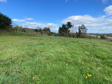 Venta / Terreno / Osorno