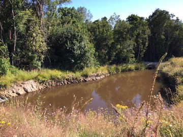 Venta / Terreno / Osorno