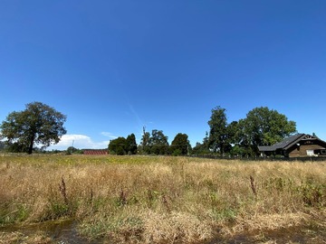 Venta / Terreno / Osorno