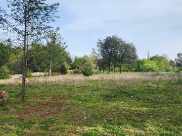 Venta / Terreno / Osorno