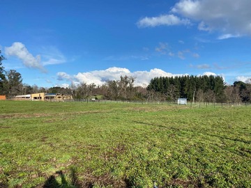 Venta / Terreno / Osorno