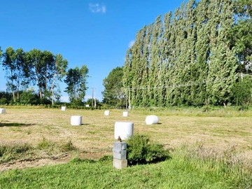 Venta / Terreno / Osorno