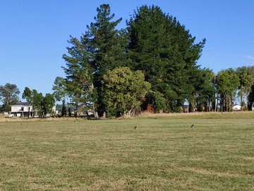 Venta / Terreno / Osorno