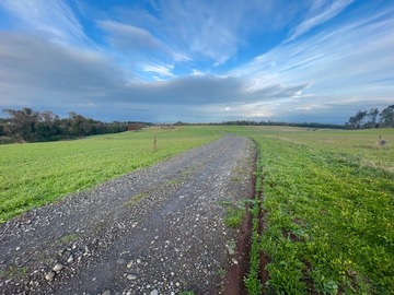 Venta / Terreno / Osorno