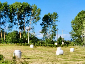 Venta / Terreno / Osorno