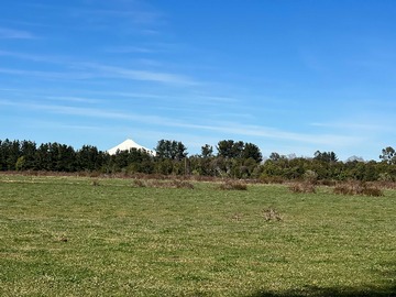 Venta / Terreno / Osorno