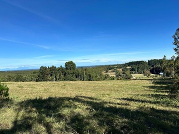 Venta / Terreno / Osorno
