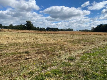 Venta / Terreno / Osorno