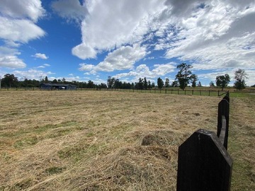 Venta / Terreno / Osorno