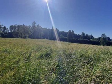 Venta / Terreno / Osorno