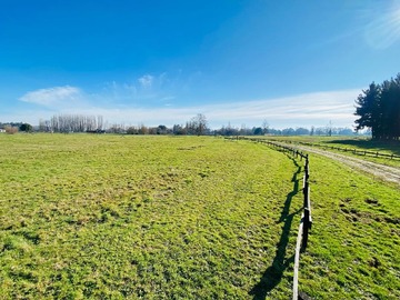 Venta / Terreno / Osorno