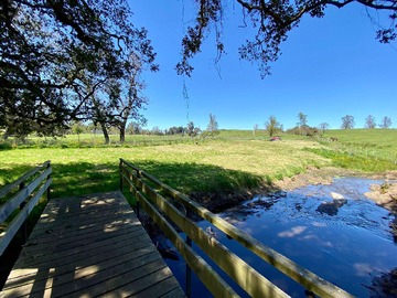 Venta / Terreno / Osorno