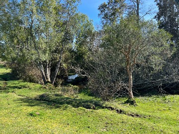 Venta / Terreno / Osorno
