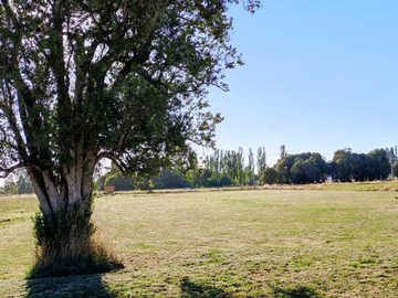 Venta / Terreno / Osorno