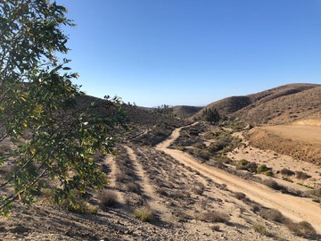 Venta / Terreno / Ovalle