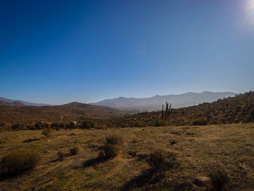 Venta / Terreno / Ovalle