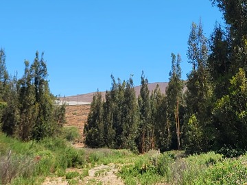 Venta / Terreno / Ovalle
