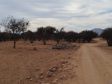 Imagen 6