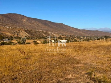Imagen 6