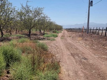 Venta / Terreno / Ovalle