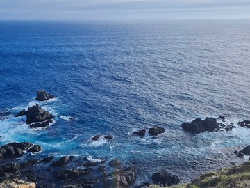 Imagen 5