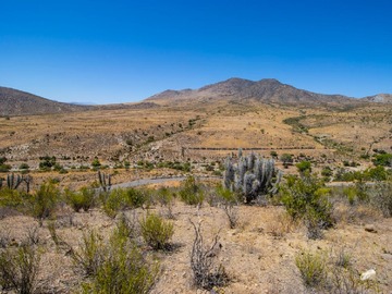 Venta / Terreno / Ovalle