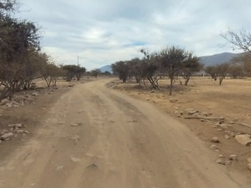 Imagen 4