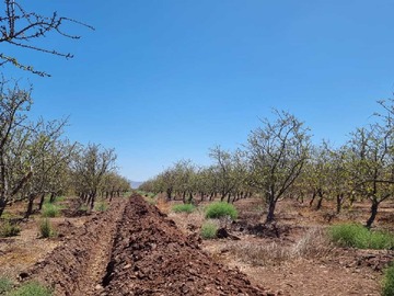 Venta / Terreno / Ovalle