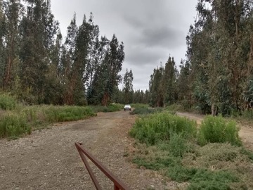 camino interior