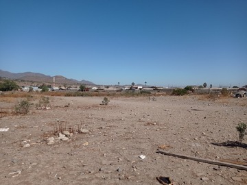 Imagen 12