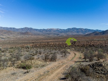 Venta / Terreno / Ovalle