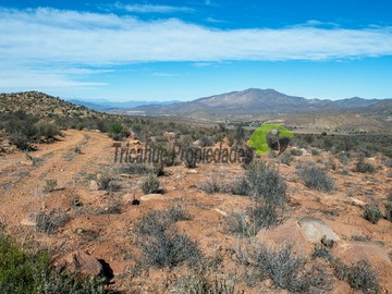 Imagen 8
