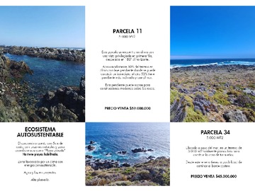 Imagen 10