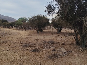 Imagen 7