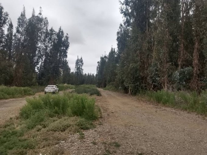 camino interior