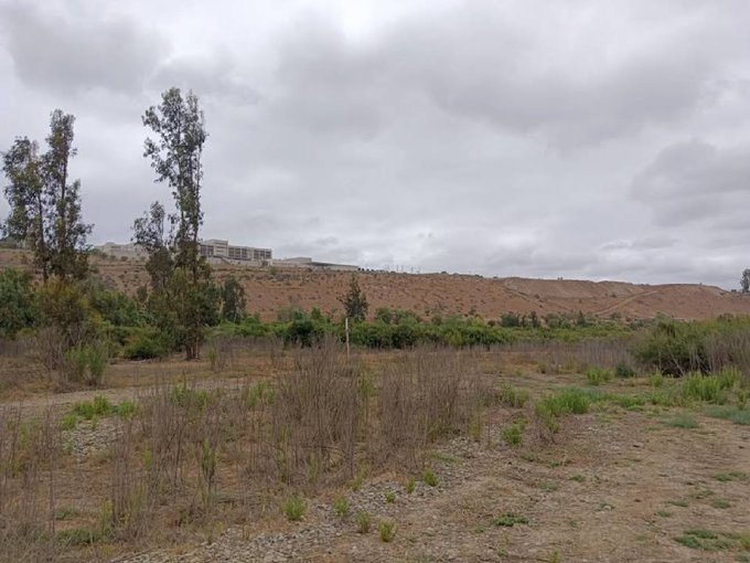 terreno interior