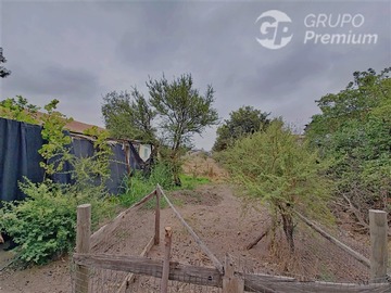 Imagen 15