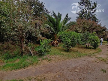 Imagen 12
