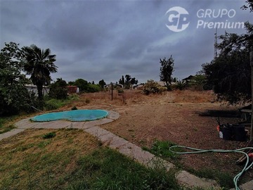 Imagen 7
