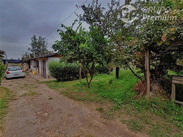 Imagen 15
