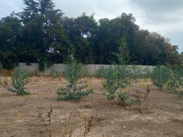 Venta / Terreno / Padre Hurtado