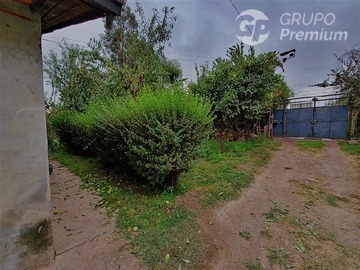 Imagen 11