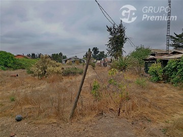 Imagen 10