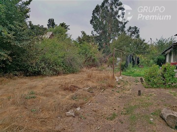 Imagen 13