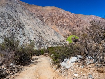 Imagen 14