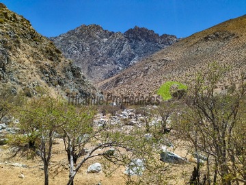 Imagen 5