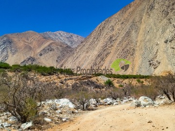 Imagen 13