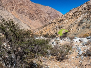 Imagen 7