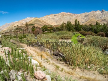 Imagen 7