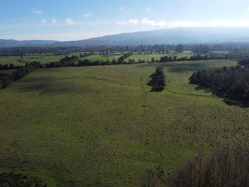 Venta / Terreno / Paillaco